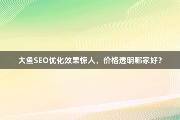 大鱼SEO优化效果惊人，价格透明哪家好？