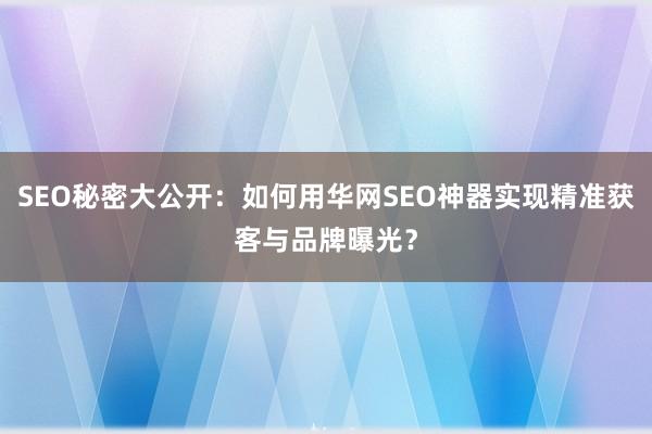 SEO秘密大公开：如何用华网SEO神器实现精准获客与品牌曝光？