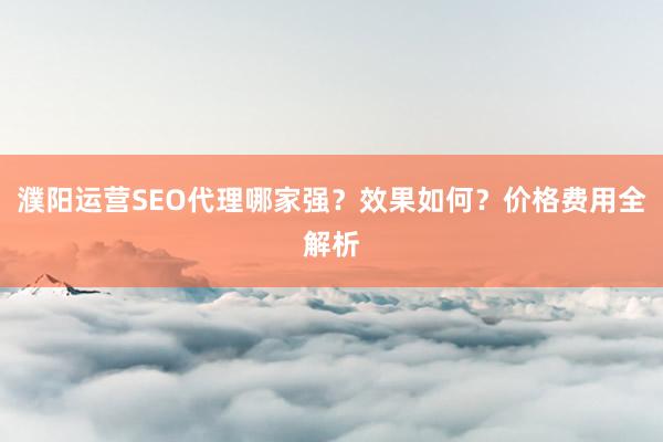 濮阳运营SEO代理哪家强？效果如何？价格费用全解析