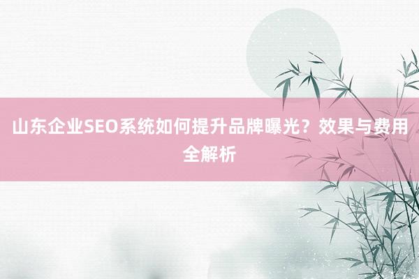 山东企业SEO系统如何提升品牌曝光？效果与费用全解析