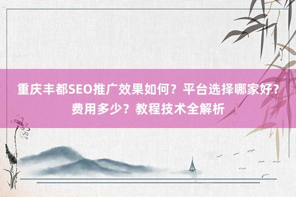 重庆丰都SEO推广效果如何？平台选择哪家好？费用多少？教程技术全解析
