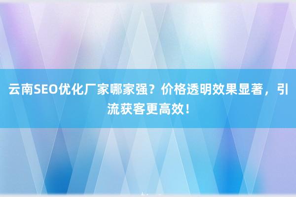 云南SEO优化厂家哪家强？价格透明效果显著，引流获客更高效！