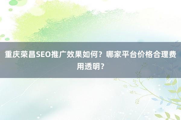 重庆荣昌SEO推广效果如何？哪家平台价格合理费用透明？