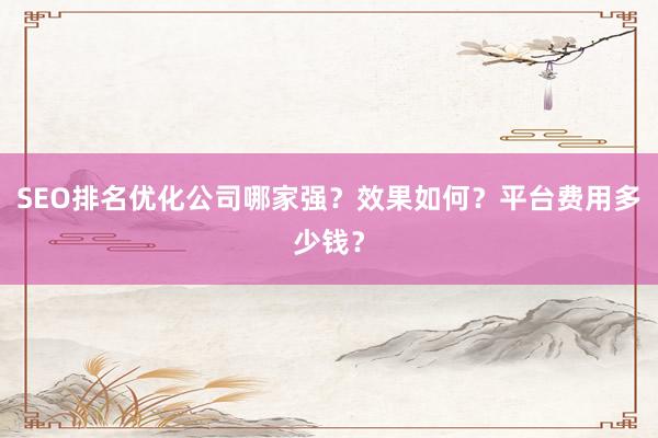 SEO排名优化公司哪家强？效果如何？平台费用多少钱？
