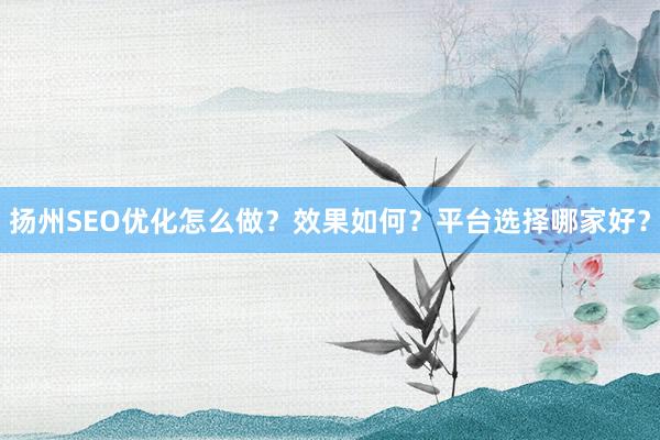 扬州SEO优化怎么做？效果如何？平台选择哪家好？