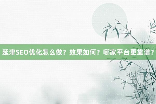 延津SEO优化怎么做？效果如何？哪家平台更靠谱？