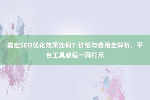 嘉定SEO优化效果如何？价格与费用全解析，平台工具教程一网打尽