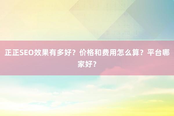 正正SEO效果有多好？价格和费用怎么算？平台哪家好？