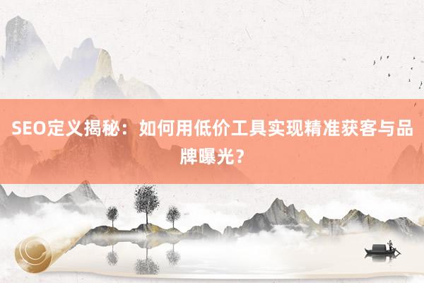 SEO定义揭秘：如何用低价工具实现精准获客与品牌曝光？