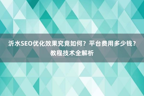 沂水SEO优化效果究竟如何？平台费用多少钱？教程技术全解析