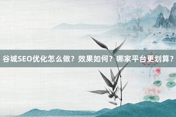 谷城SEO优化怎么做？效果如何？哪家平台更划算？