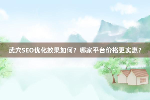 武穴SEO优化效果如何？哪家平台价格更实惠？