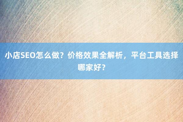 小店SEO怎么做？价格效果全解析，平台工具选择哪家好？