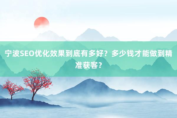 宁波SEO优化效果到底有多好？多少钱才能做到精准获客？