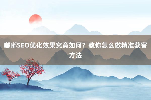 嘟嘟SEO优化效果究竟如何？教你怎么做精准获客方法