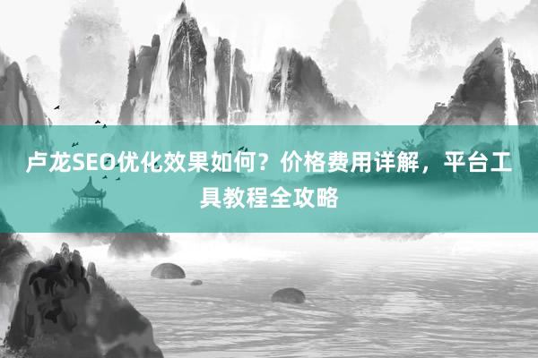 卢龙SEO优化效果如何？价格费用详解，平台工具教程全攻略