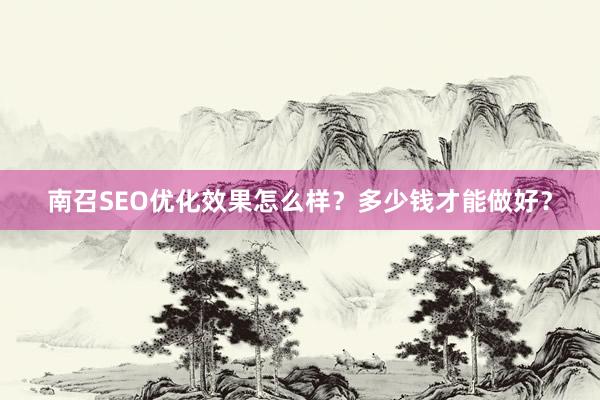 南召SEO优化效果怎么样？多少钱才能做好？