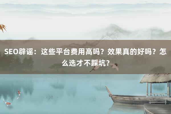 SEO辟谣：这些平台费用高吗？效果真的好吗？怎么选才不踩坑？