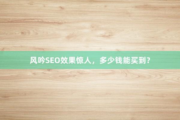 风吟SEO效果惊人，多少钱能买到？