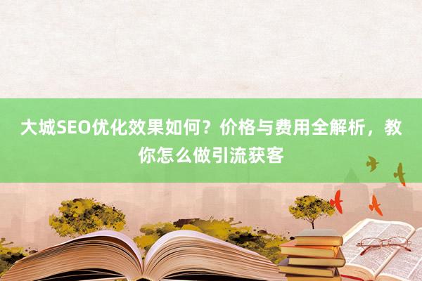 大城SEO优化效果如何？价格与费用全解析，教你怎么做引流获客