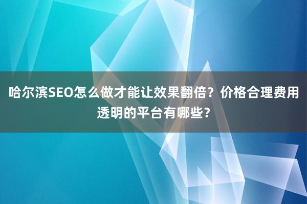 哈尔滨SEO怎么做才能让效果翻倍？价格合理费用透明的平台有哪些？