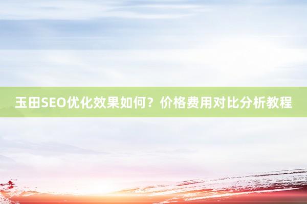 玉田SEO优化效果如何？价格费用对比分析教程