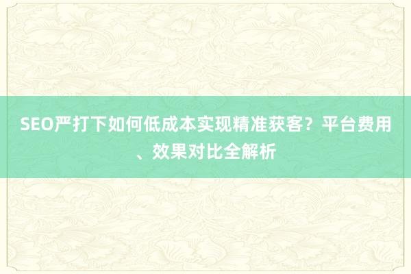SEO严打下如何低成本实现精准获客？平台费用、效果对比全解析