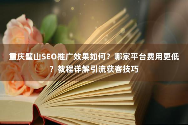 重庆璧山SEO推广效果如何？哪家平台费用更低？教程详解引流获客技巧