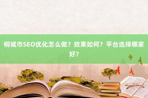 桐城市SEO优化怎么做？效果如何？平台选择哪家好？