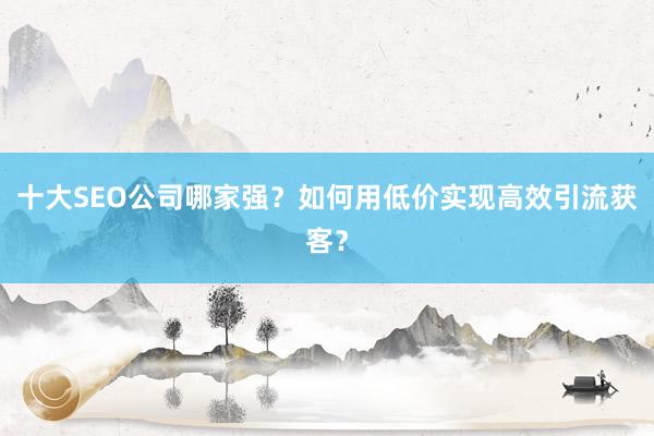 十大SEO公司哪家强？如何用低价实现高效引流获客？