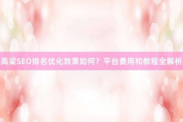 高粱SEO排名优化效果如何？平台费用和教程全解析