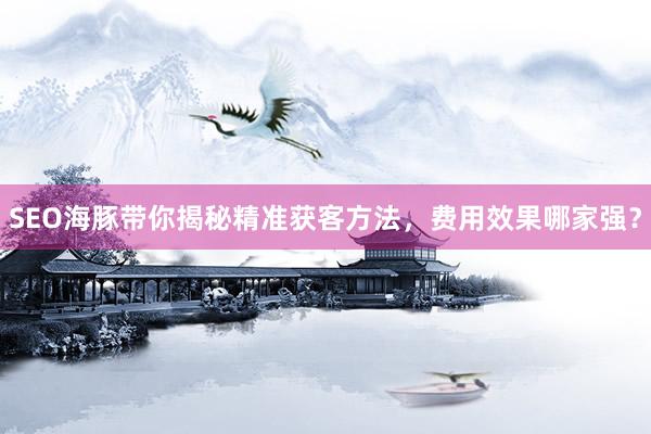 SEO海豚带你揭秘精准获客方法，费用效果哪家强？