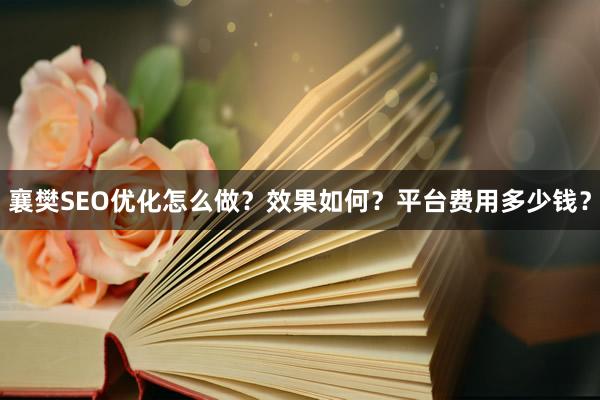 襄樊SEO优化怎么做？效果如何？平台费用多少钱？