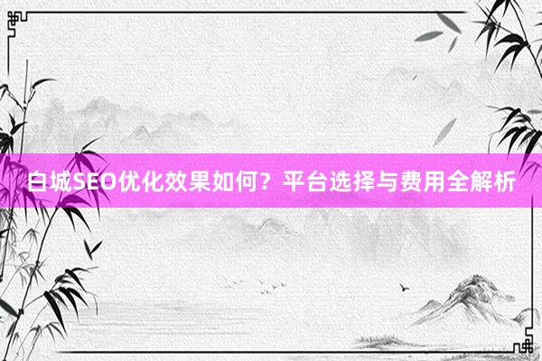 白城SEO优化效果如何？平台选择与费用全解析