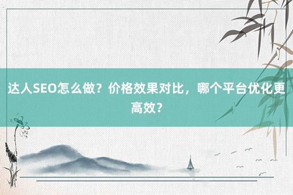 达人SEO怎么做？价格效果对比，哪个平台优化更高效？
