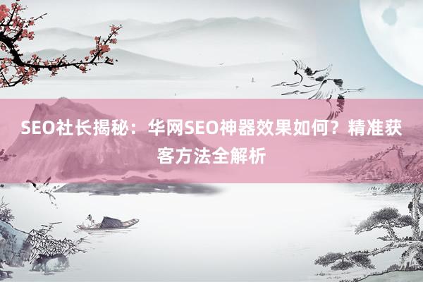 SEO社长揭秘：华网SEO神器效果如何？精准获客方法全解析