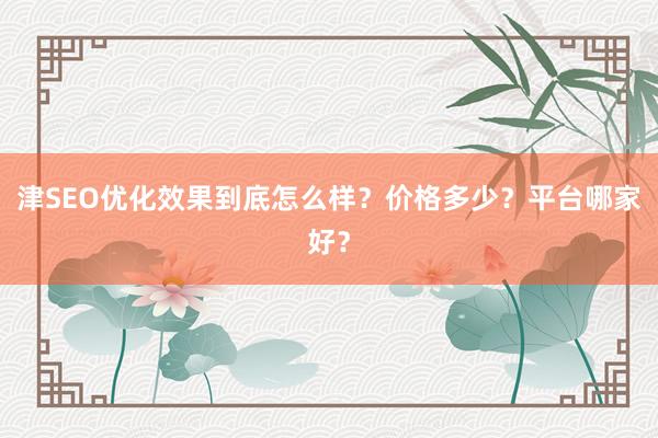 津SEO优化效果到底怎么样？价格多少？平台哪家好？