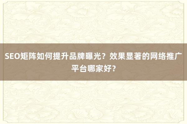 SEO矩阵如何提升品牌曝光？效果显著的网络推广平台哪家好？