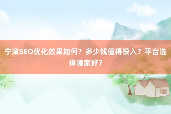 宁津SEO优化效果如何？多少钱值得投入？平台选择哪家好？