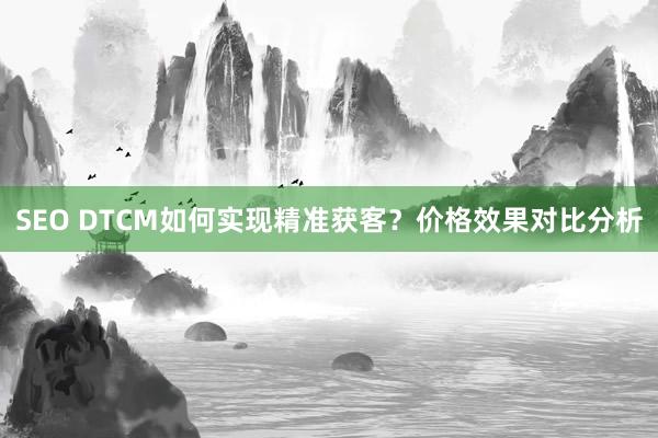 SEO DTCM如何实现精准获客？价格效果对比分析