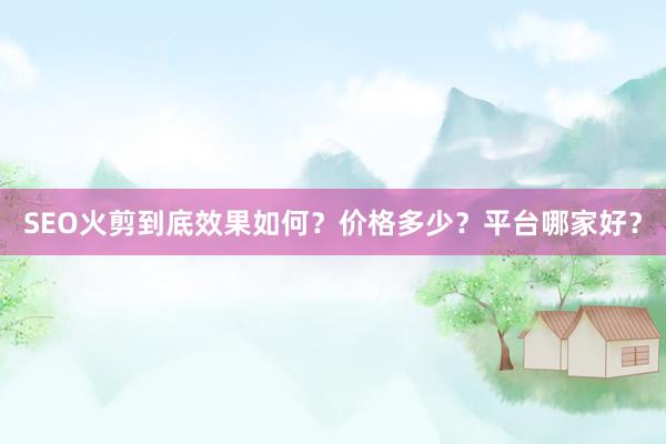 SEO火剪到底效果如何？价格多少？平台哪家好？