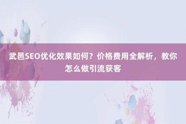 武邑SEO优化效果如何？价格费用全解析，教你怎么做引流获客
