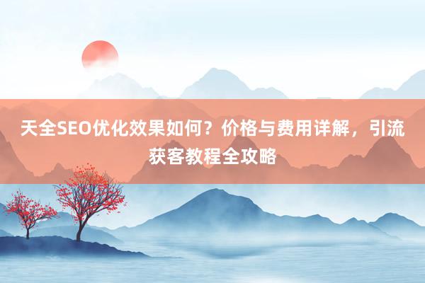 天全SEO优化效果如何？价格与费用详解，引流获客教程全攻略