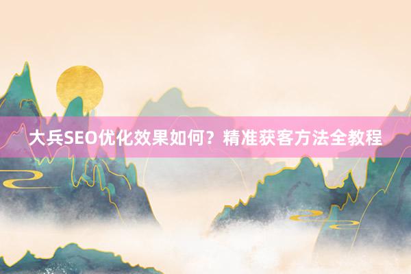 大兵SEO优化效果如何？精准获客方法全教程