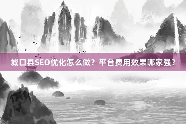 城口县SEO优化怎么做？平台费用效果哪家强？